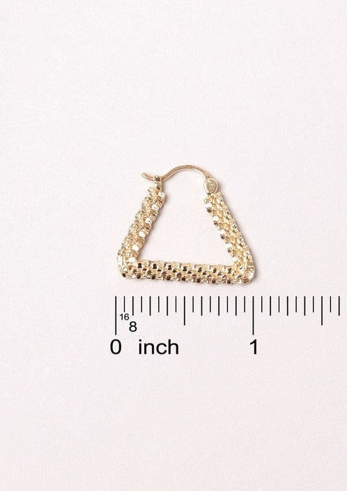 Triangle Plug Earrings