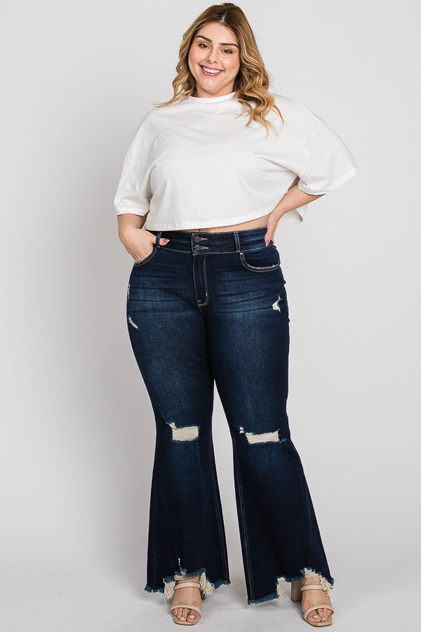 Brittanee High Rise Frayed Hem Jeans