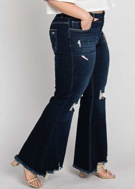 Brittanee High Rise Frayed Hem Jeans