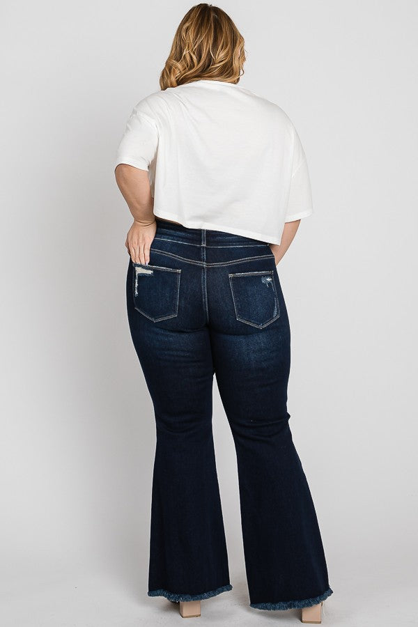 Brittanee High Rise Frayed Hem Jeans